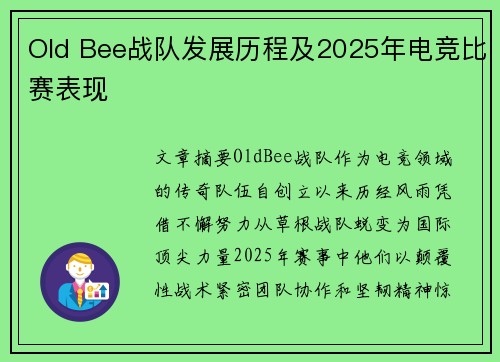 Old Bee战队发展历程及2025年电竞比赛表现